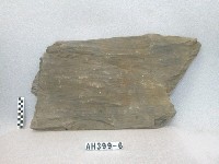 藏品(板棺側板)的圖片